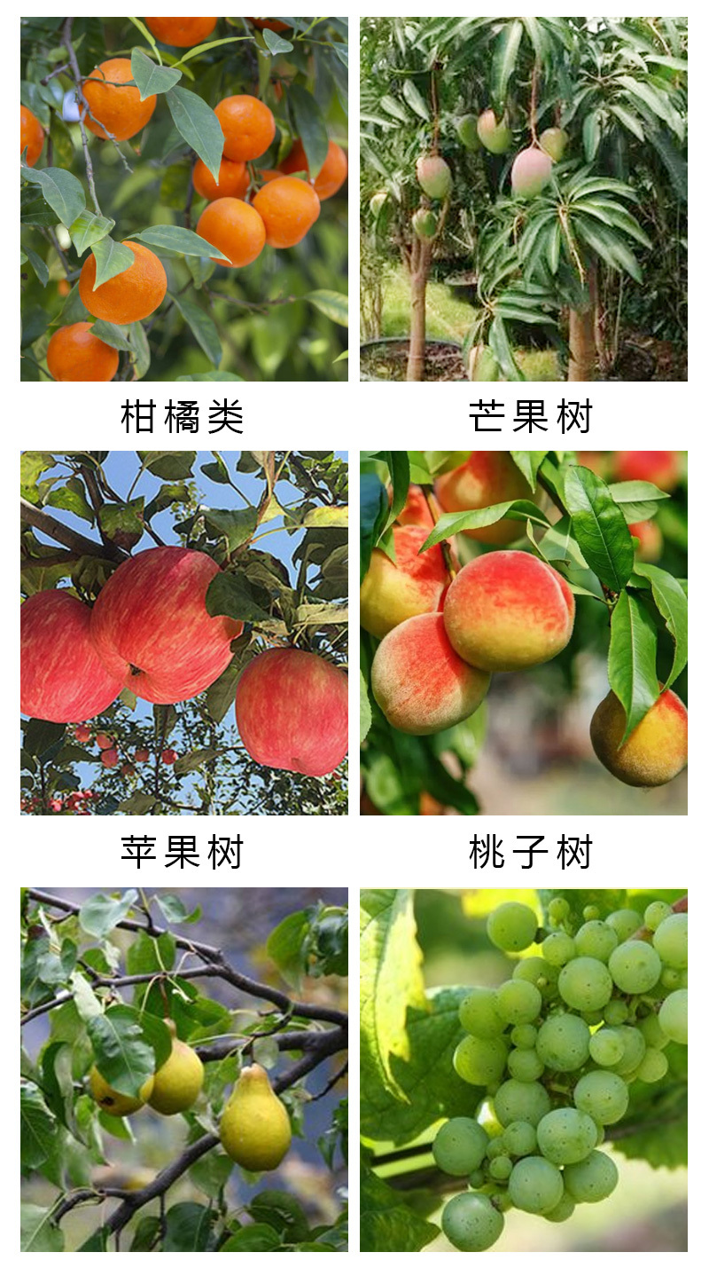 清园清棚微生物菌剂修复伤口杀菌抑病大棚果园专用肥