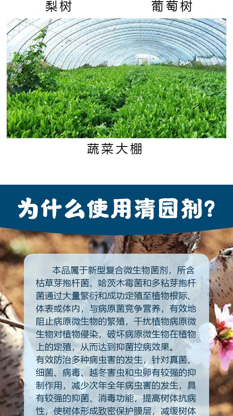 清园清棚微生物菌剂修复伤口杀菌抑病大棚果园专用肥