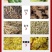 根茎类药材麦冬烘干机重楼毛慈菇白部根清洗切片烘干设备