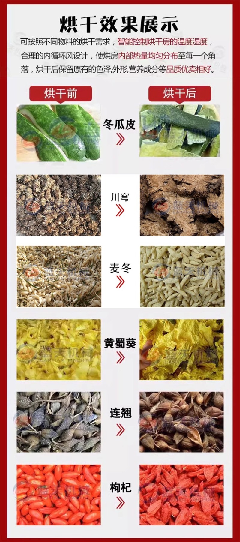 根茎类药材麦冬烘干机重楼毛慈菇白部根清洗切片烘干设备