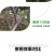 【实力店铺】微生物菌剂青苔清除剂无味无刺激厂家直销