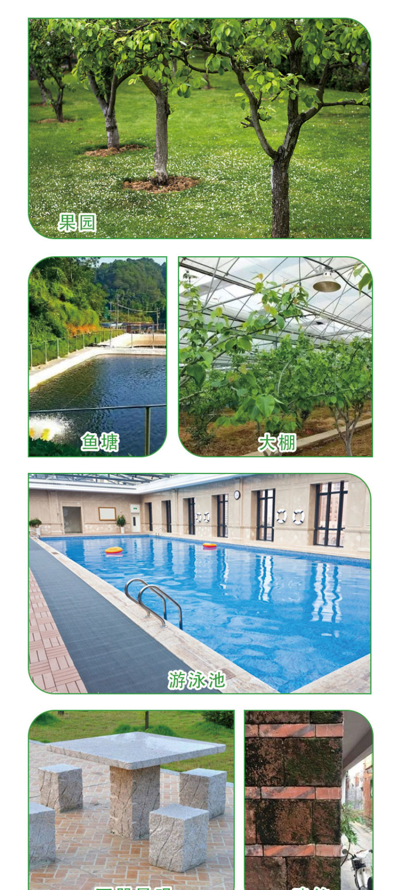 【实力店铺】微生物菌剂青苔清除剂无味无刺激厂家直销