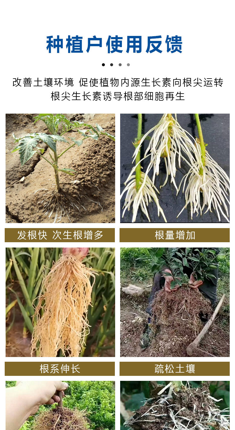 猛生根含氨基酸水溶肥生根养根护根改良土壤厂家直销