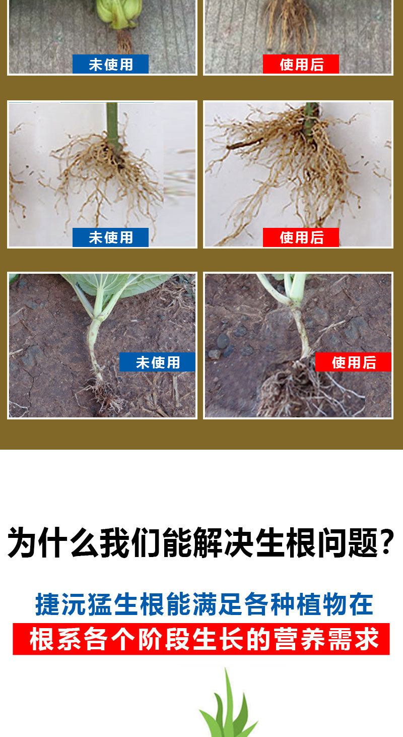 猛生根含氨基酸水溶肥生根养根护根改良土壤厂家直销