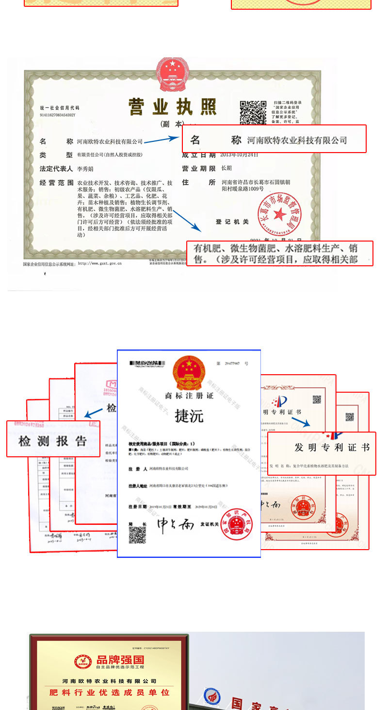 猛生根含氨基酸水溶肥生根养根护根改良土壤厂家直销