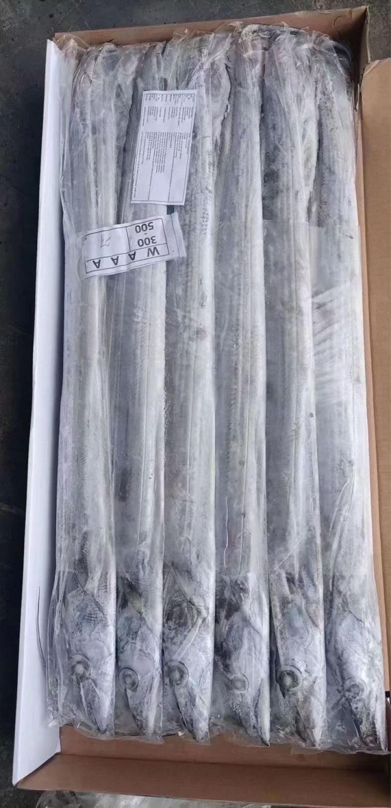 带鱼钓带一件19斤，全规格有货，