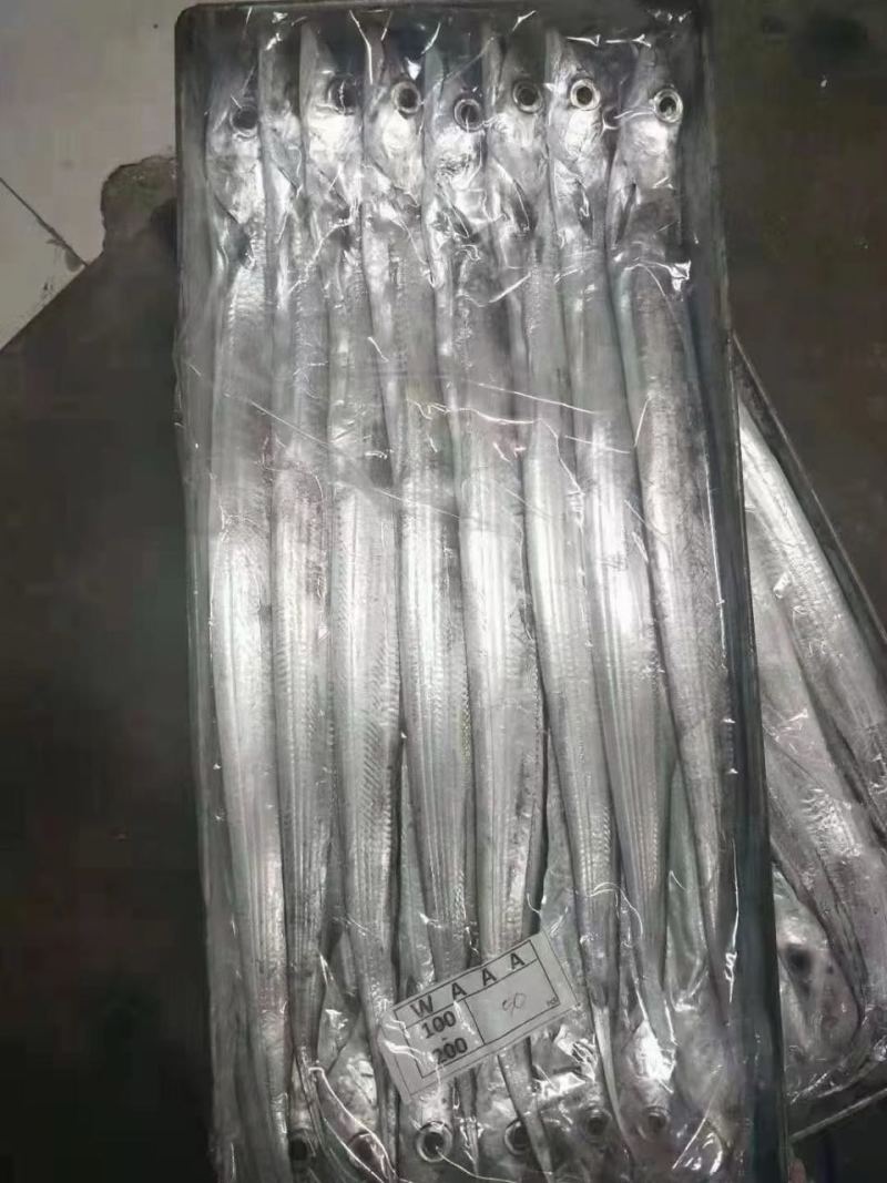 带鱼钓带一件19斤，全规格有货，