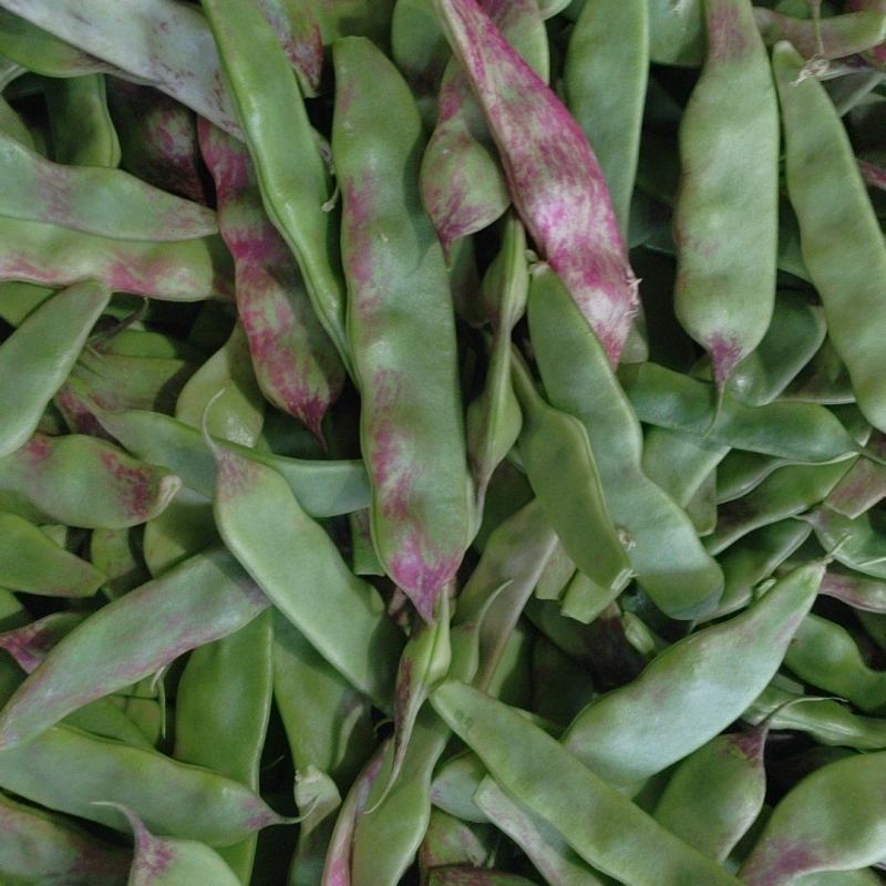 一点红油豆角