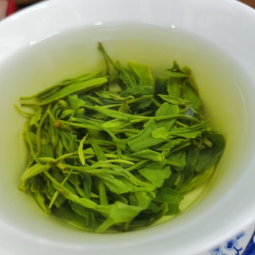 2025春茶恩施富硒绿茶炒青龙井茶香茶栗香回甘