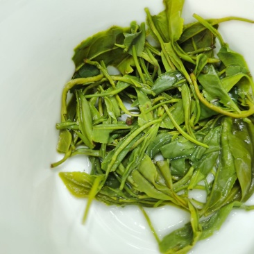 2025新春茶恩施富硒绿茶土香茶香浓