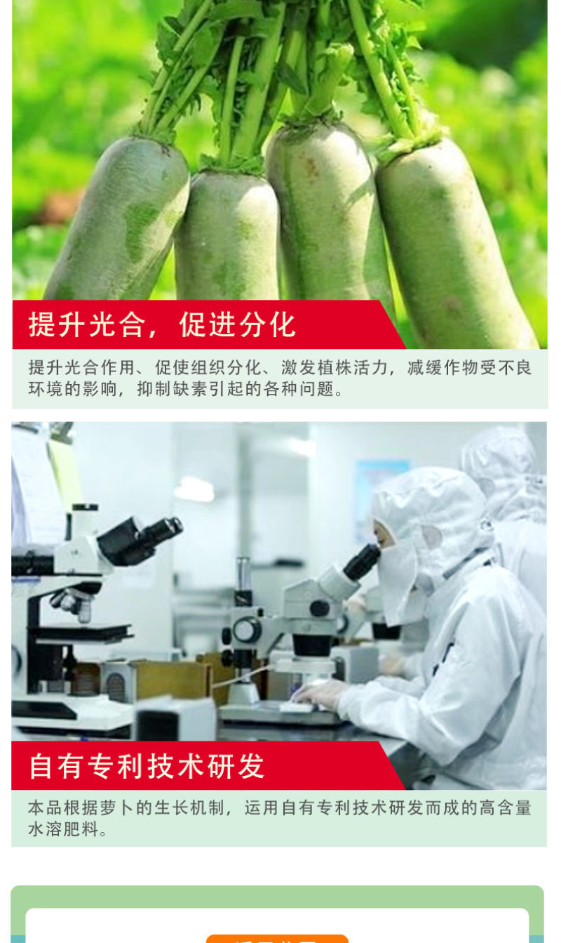 【荐】萝卜粗又壮含氨基酸水溶肥萝卜加快膨大优化口感