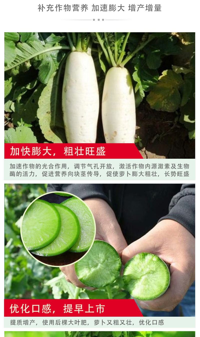 【荐】萝卜粗又壮含氨基酸水溶肥萝卜加快膨大优化口感