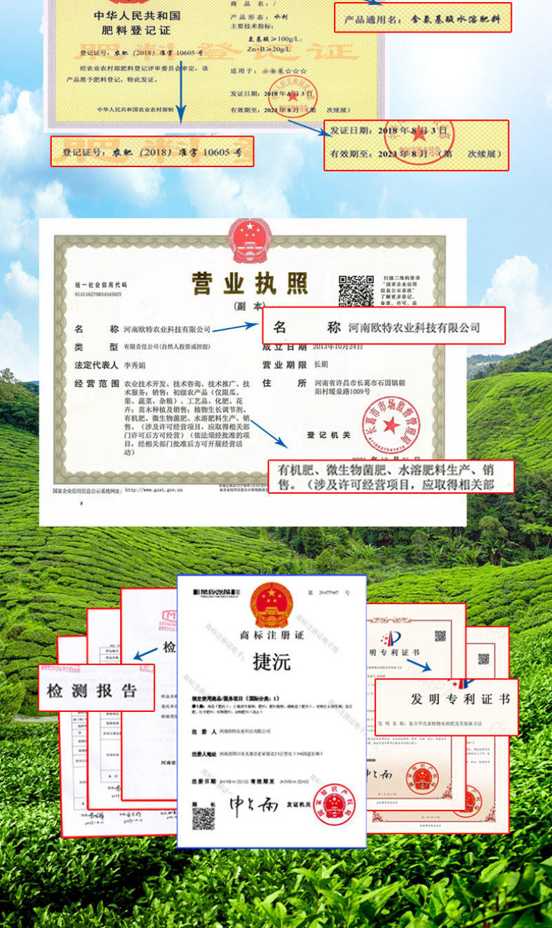 【荐】萝卜粗又壮含氨基酸水溶肥萝卜加快膨大优化口感