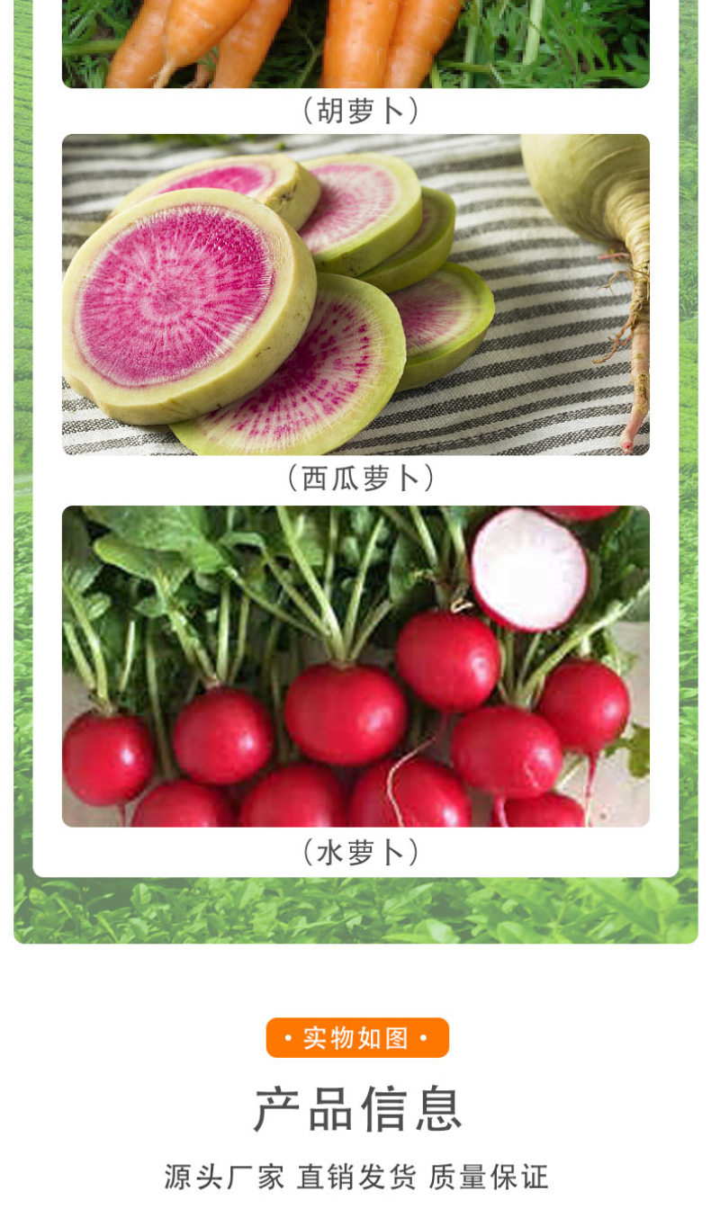 【荐】萝卜粗又壮含氨基酸水溶肥萝卜加快膨大优化口感