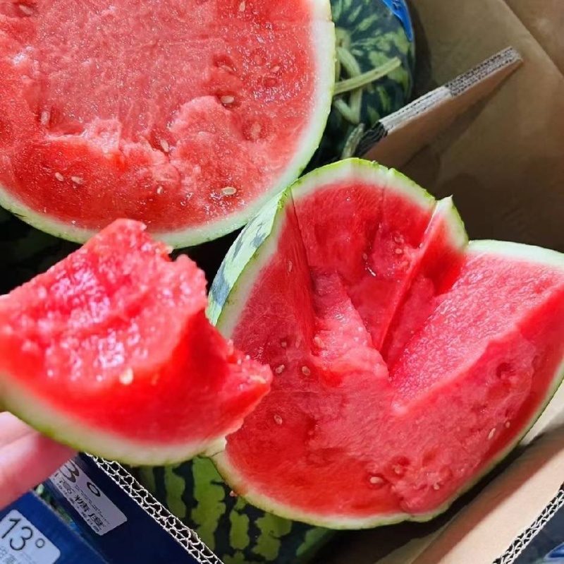 美都西瓜，无籽美都，麒麟瓜，河北产区，一手货源
