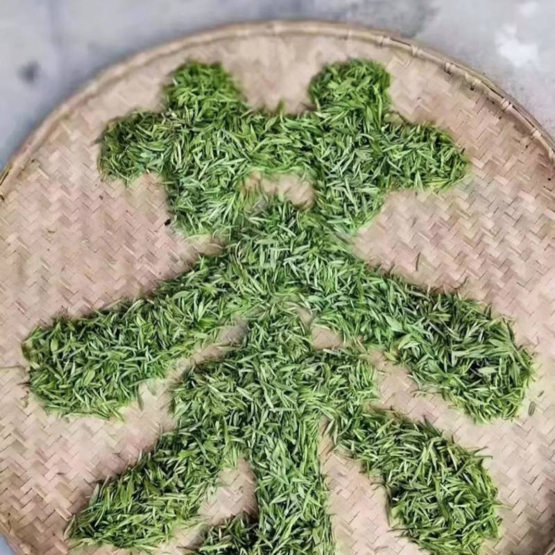 正宗高山纯手工毛尖茶叶