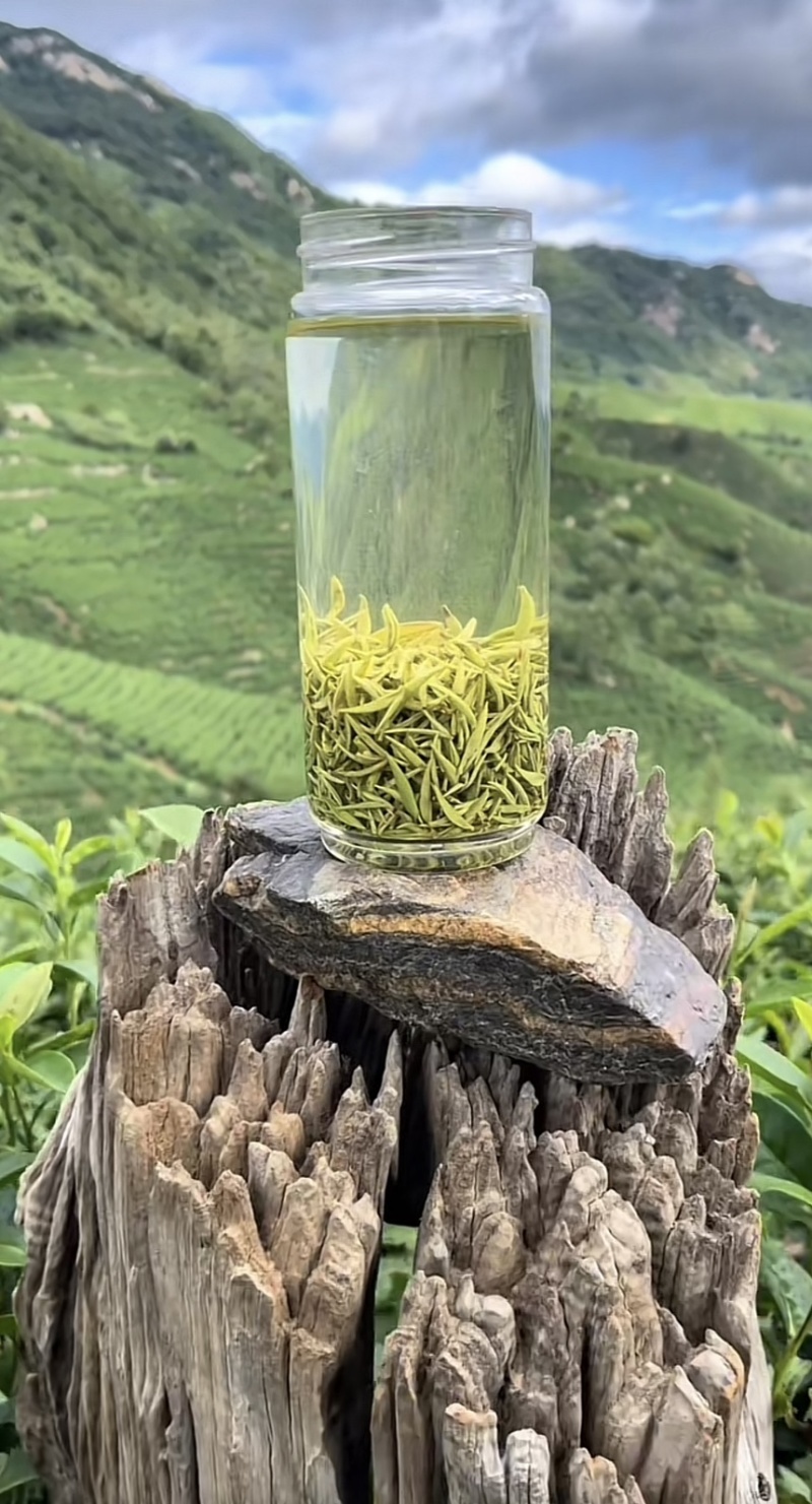 正宗高山纯手工毛尖茶叶
