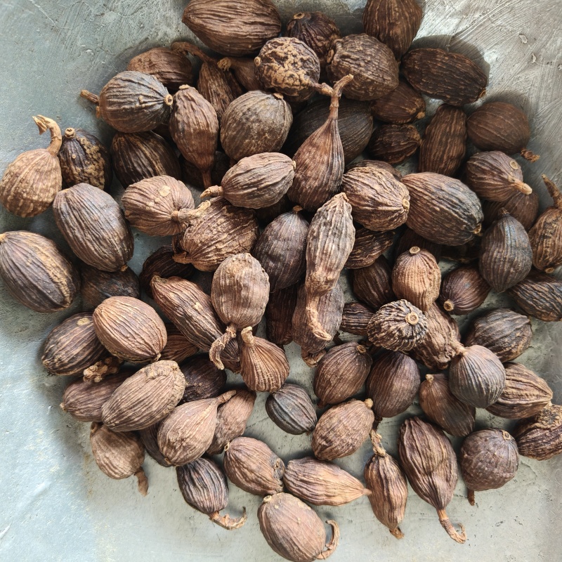草果云南大草果香料祥泰药材栈中药材批发零售实物拍摄