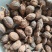 草果云南大草果香料祥泰药材栈中药材批发零售实物拍摄