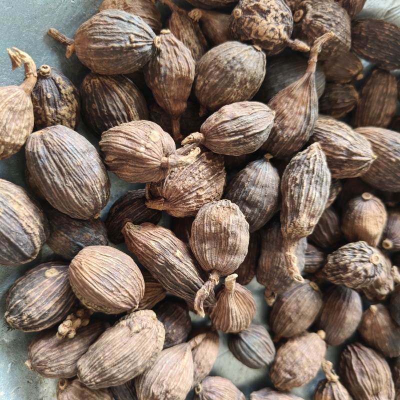 草果云南大草果香料祥泰药材栈中药材批发零售实物拍摄