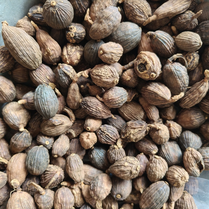 草果云南大草果香料祥泰药材栈中药材批发零售实物拍摄