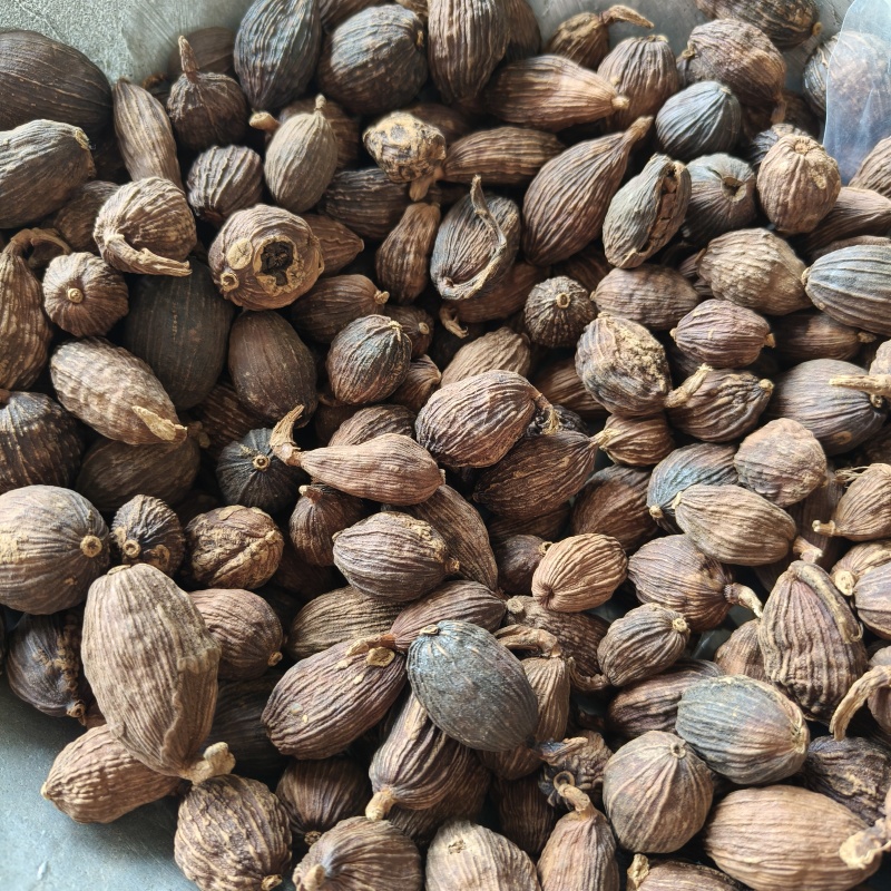 草果云南大草果香料祥泰药材栈中药材批发零售实物拍摄