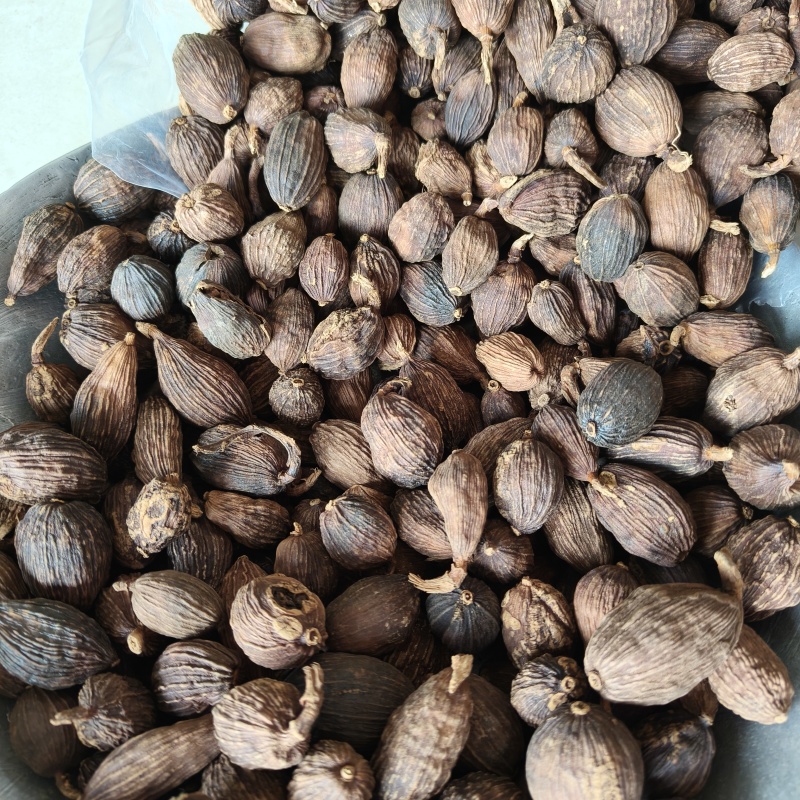 草果云南大草果香料祥泰药材栈中药材批发零售实物拍摄