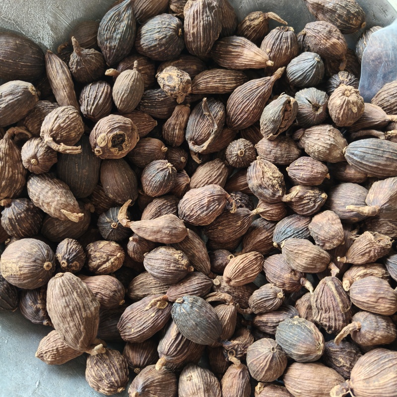 草果云南大草果香料祥泰药材栈中药材批发零售实物拍摄