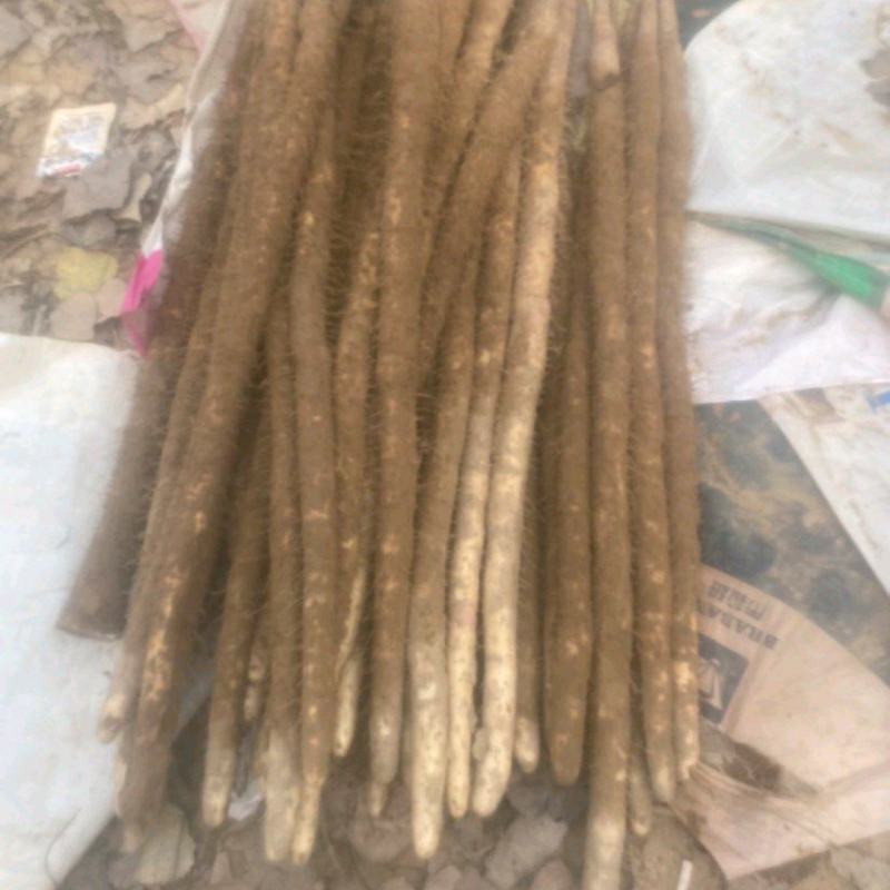双棒通货