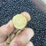 甘草原片1.2至1.5片货源充足量大价优保质保量欢迎联系