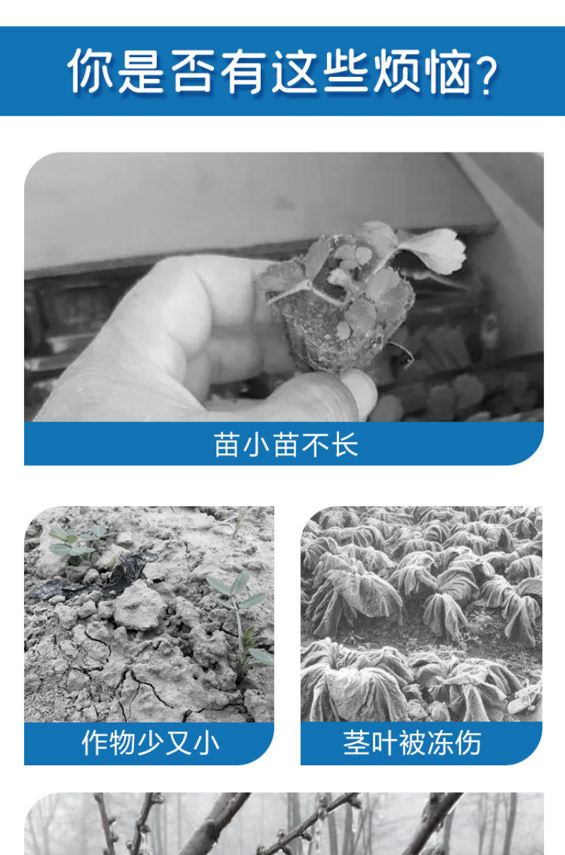 【荐】含氨基酸水溶肥料植物防冻液防寒防冻保花保果