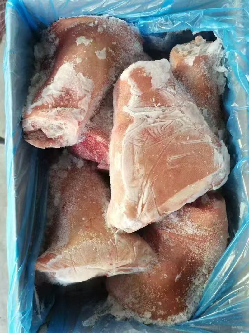 前肘子后肘子A级货一件也能发货哦～欢迎老板定购