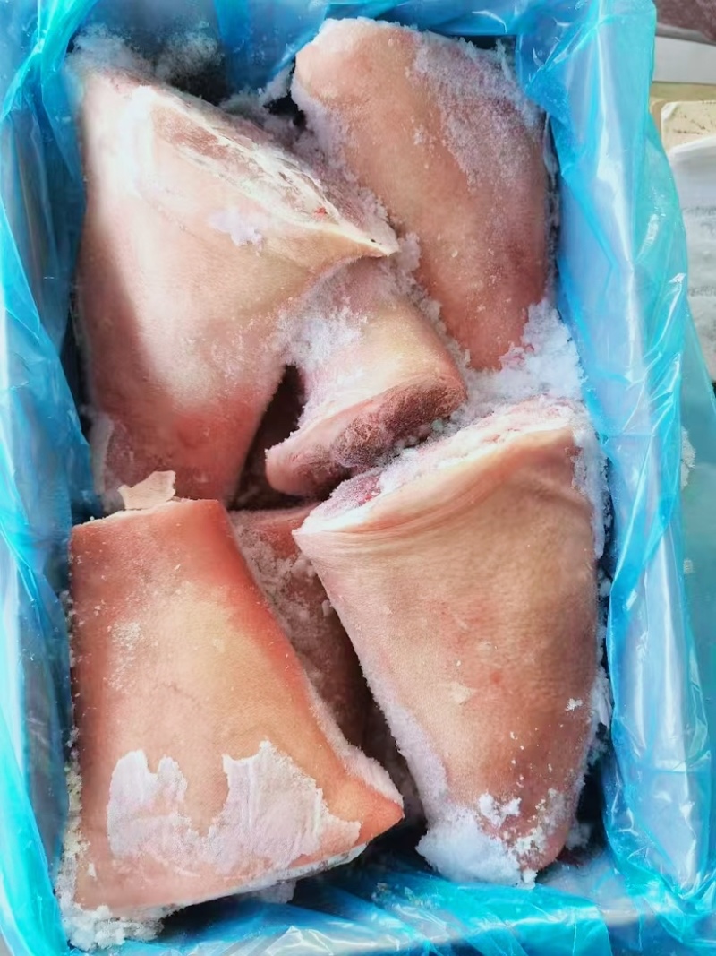 前肘子后肘子A级货一件也能发货哦～欢迎老板定购