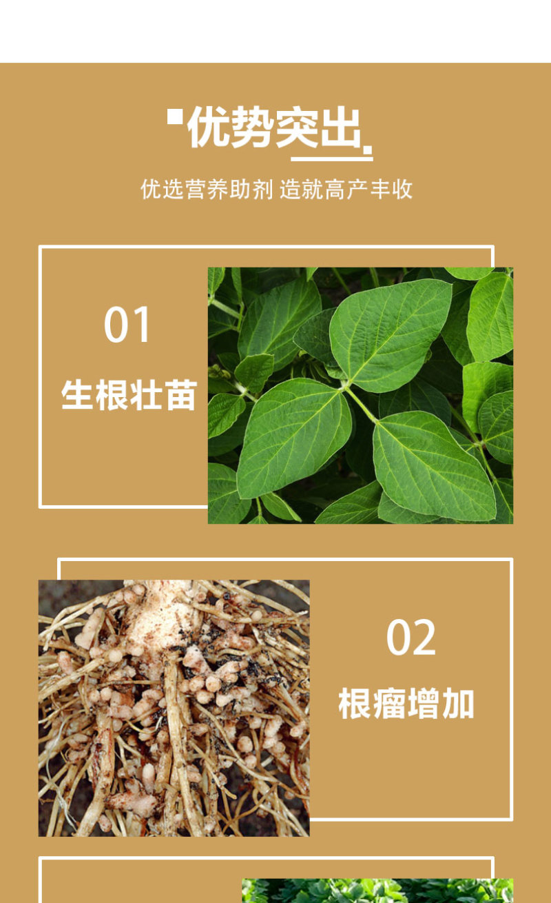 豆丰源含氨基酸水溶肥料生根壮苗防病抗倒大豆专用肥料