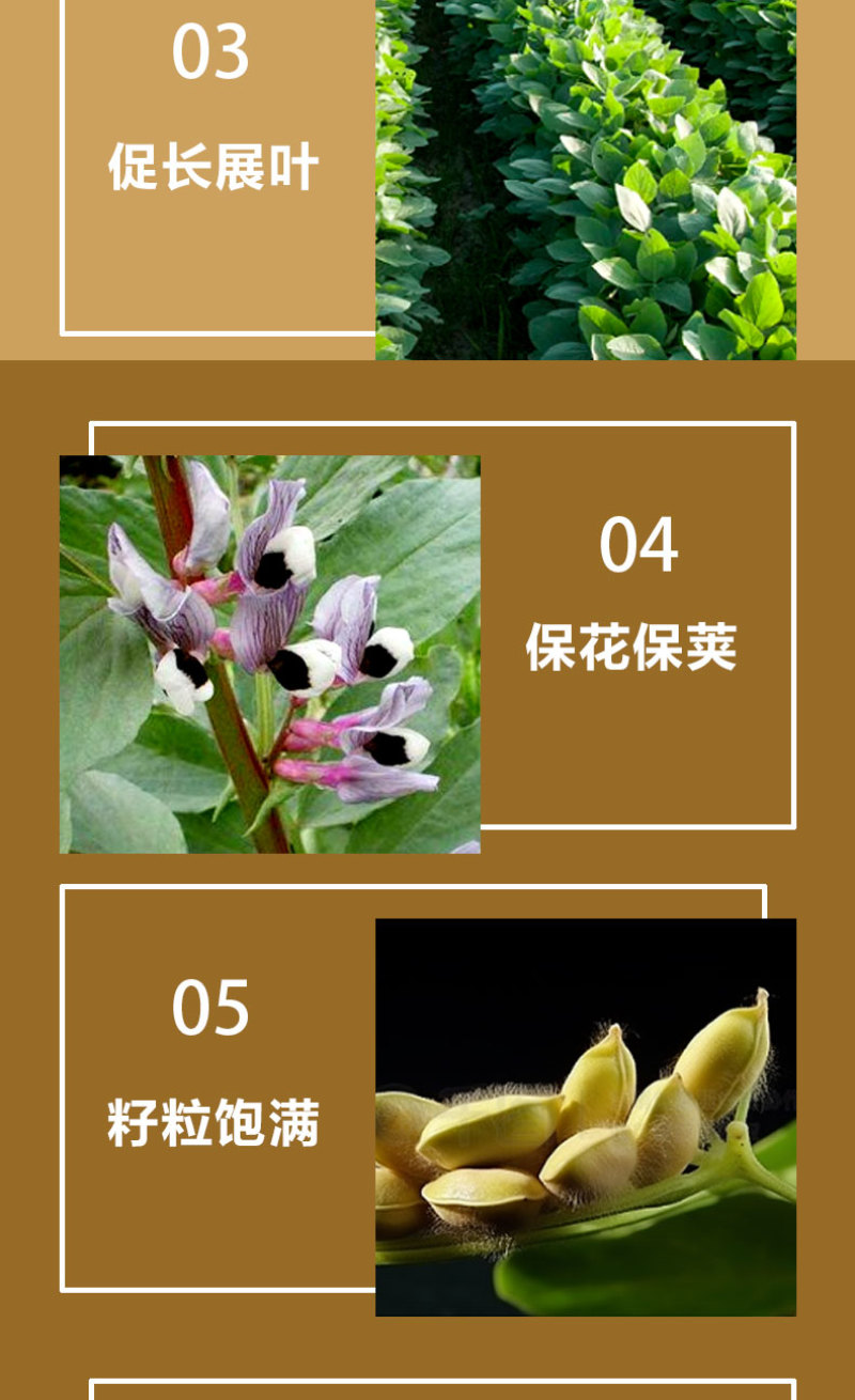 豆丰源含氨基酸水溶肥料生根壮苗防病抗倒大豆专用肥料