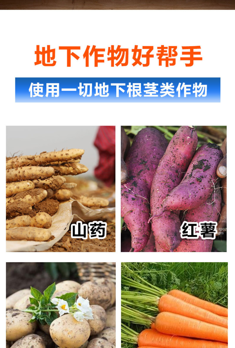 地下根茎膨大液含氨基酸水溶肥料红薯土豆地下作物肥料