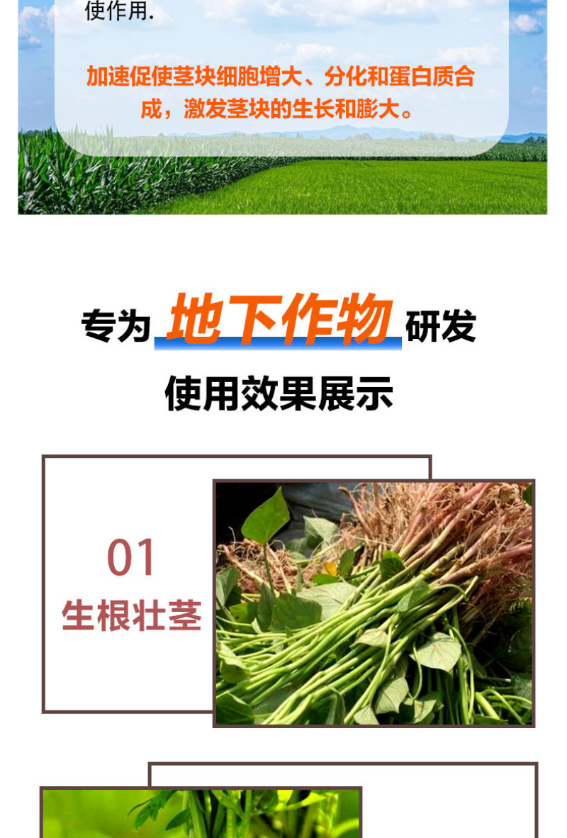 地下根茎膨大液含氨基酸水溶肥料红薯土豆地下作物肥料