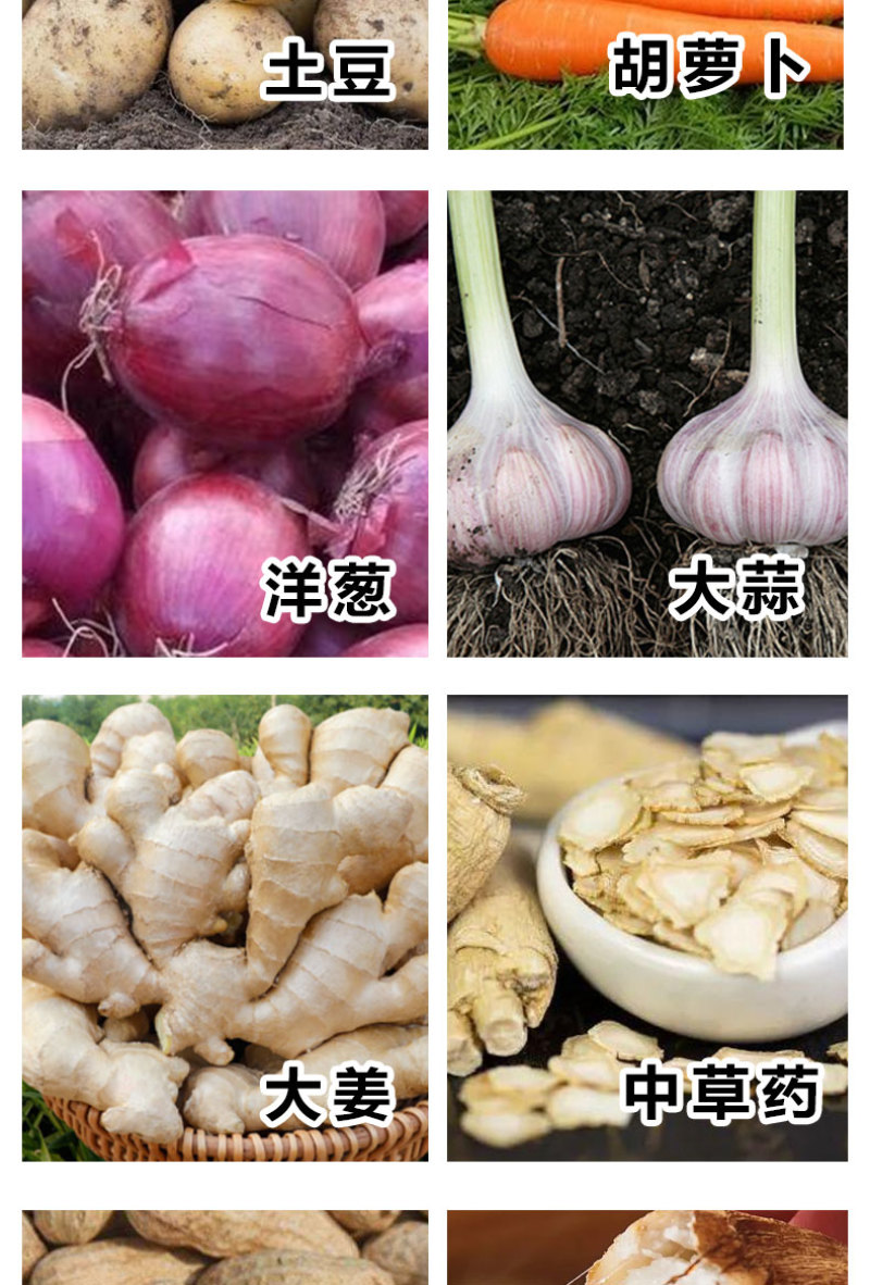 地下根茎膨大液含氨基酸水溶肥料红薯土豆地下作物肥料