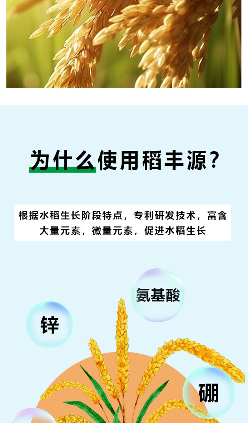 【优选肥料】稻丰源含氨基酸水溶肥促生根籽粒饱水稻肥料