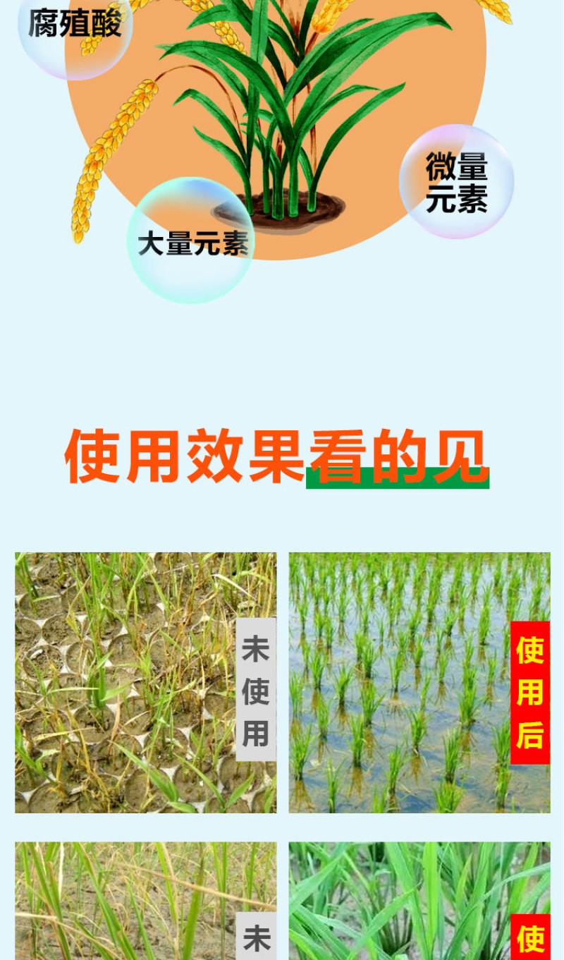 【优选肥料】稻丰源含氨基酸水溶肥促生根籽粒饱水稻肥料