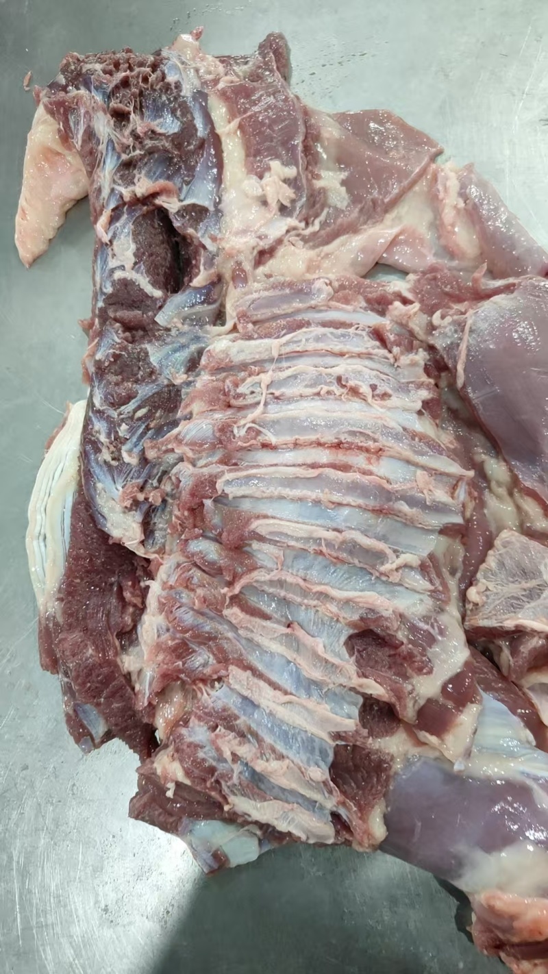 【羔羊肋排卷】当地草地羊的去骨肋排！也叫羊腹肉！支持发样