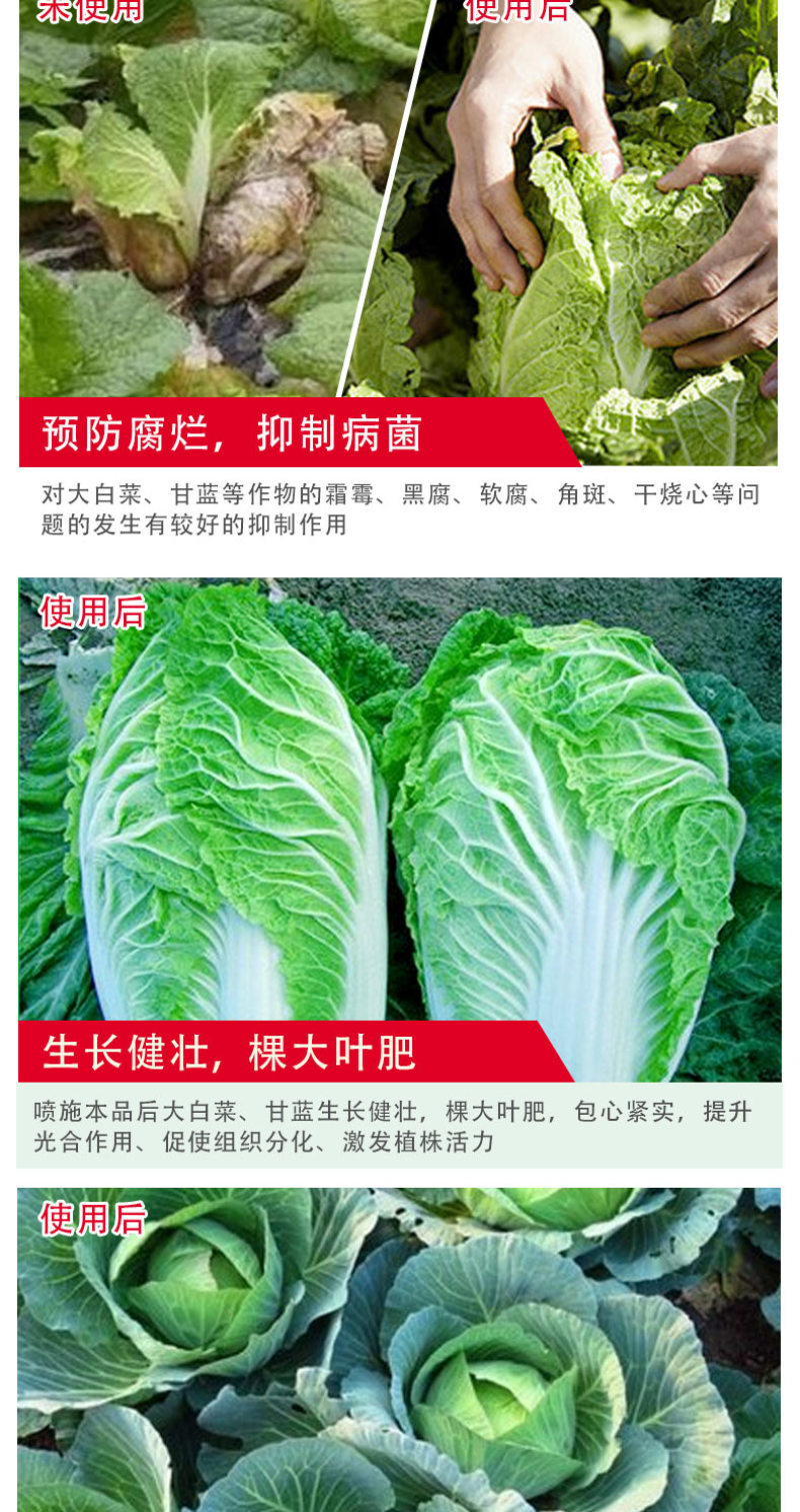 【包心剂】含氨基酸水溶肥料包菜花菜卷心类作物防腐型增