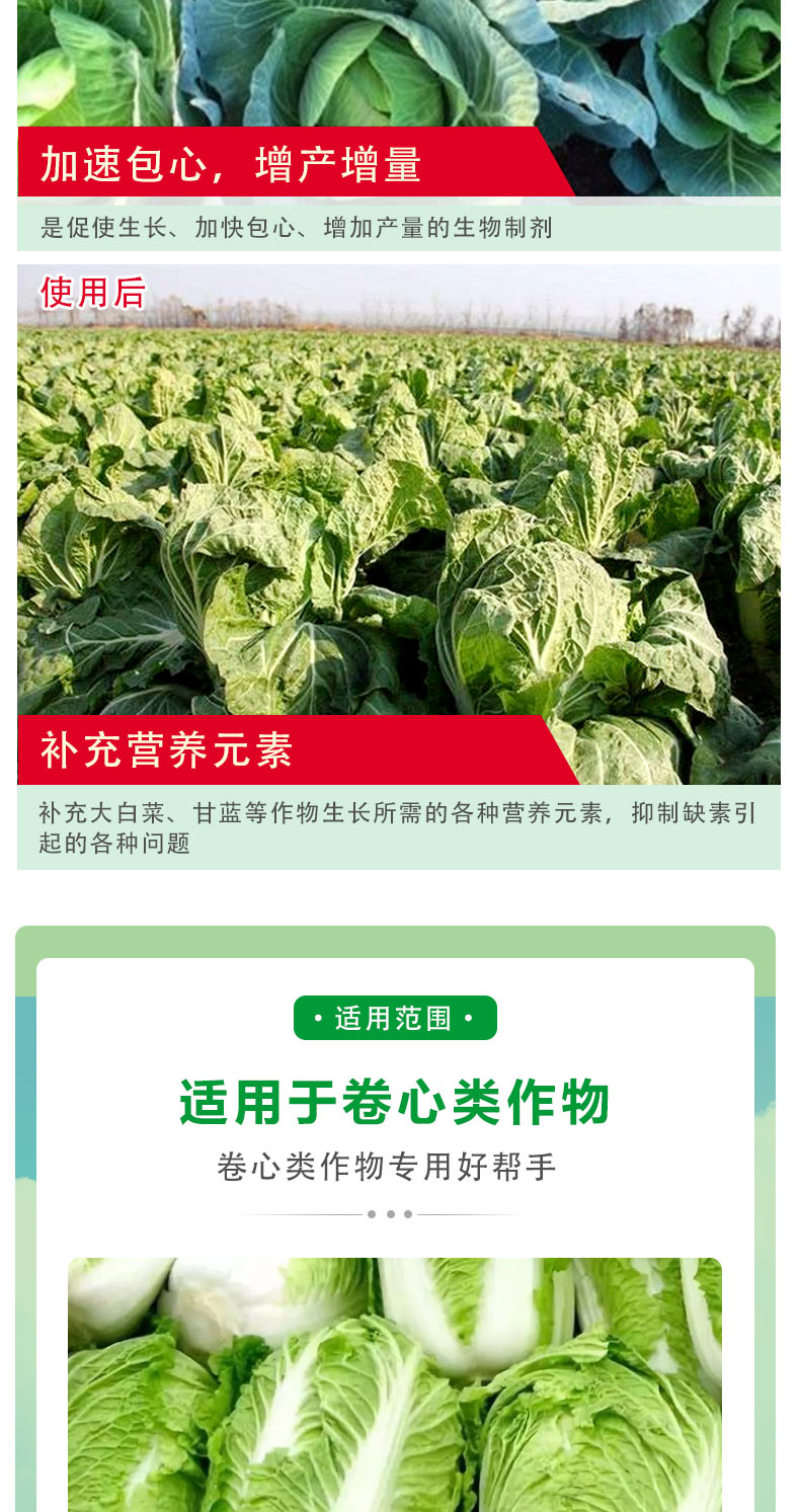 【包心剂】含氨基酸水溶肥料包菜花菜卷心类作物防腐型增
