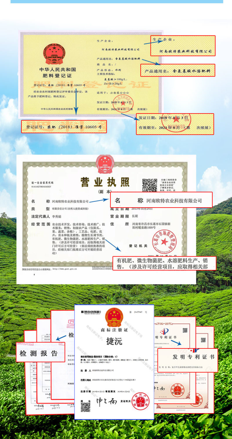 【包心剂】含氨基酸水溶肥料包菜花菜卷心类作物防腐型增
