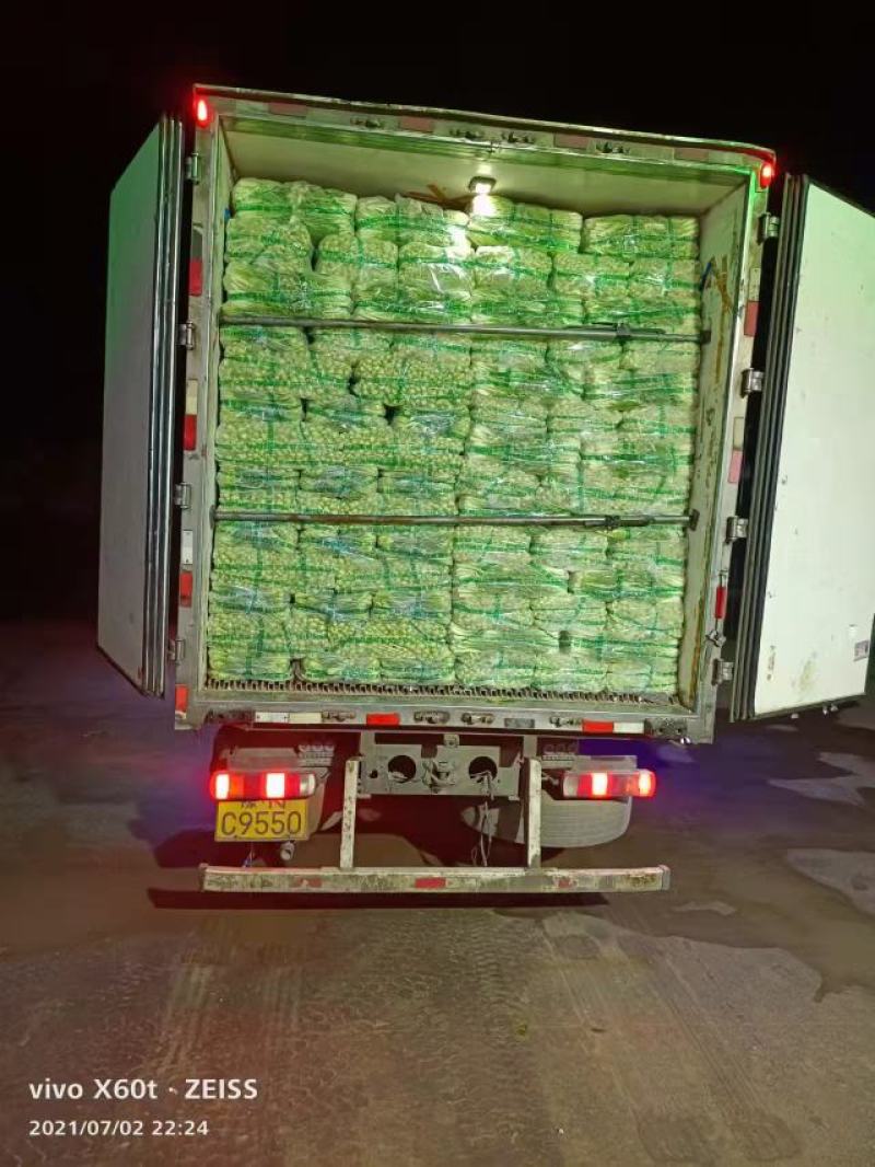 【量大优惠】山东上海青小油菜品质保障对接批发电商