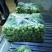 【量大优惠】山东上海青小油菜品质保障对接批发电商
