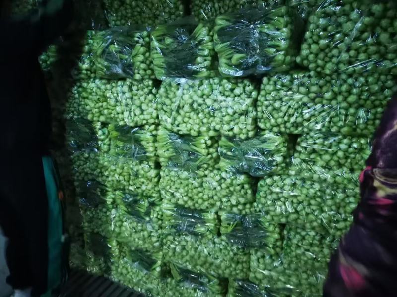 【量大优惠】山东上海青小油菜品质保障对接批发电商