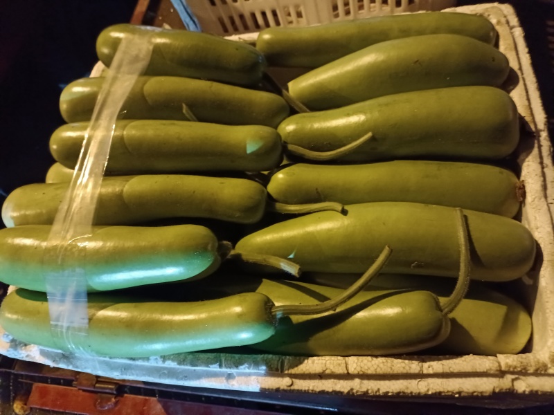 本地圆南瓜