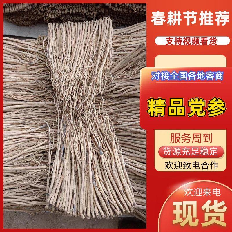 党参白条党参干货质量保证量大从优规格齐全欢迎咨询