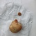 自家养一年多老母鸡里出现一个鸡宝